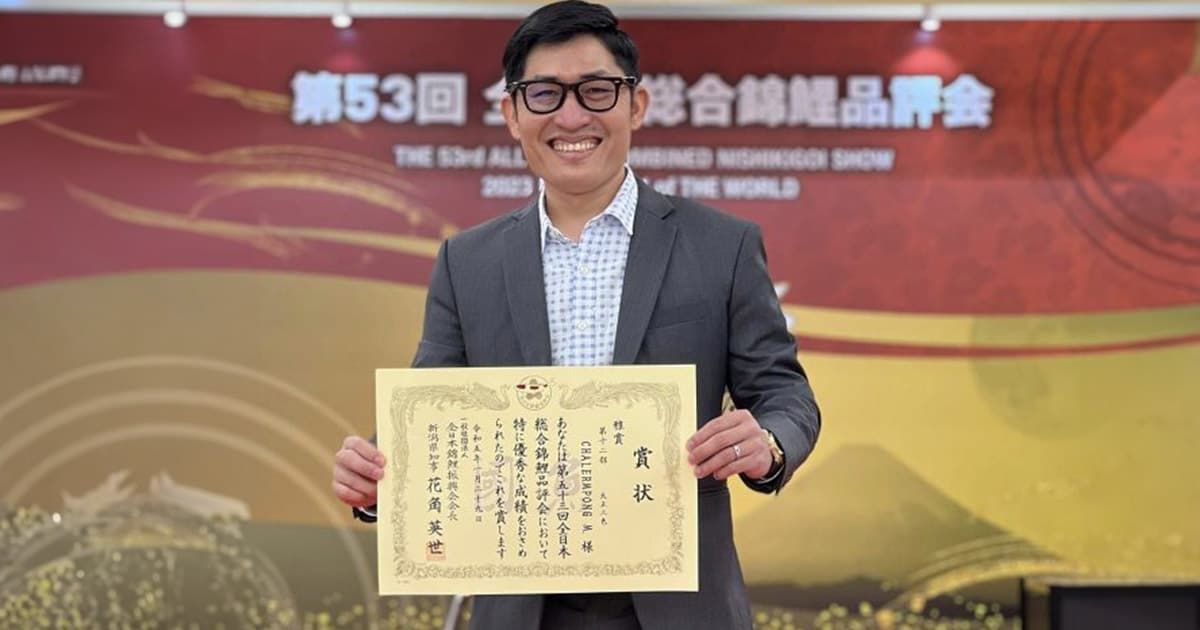 ภาพบรรยากาศรับรางวัล ของ Miyabi prize ในงานประกวด Nishikigoi of the word 2023 - ไปโค่ย ฟาร์ม | จำหน่ายปลาคาร์ฟญี่ปุ่นนำเข้าหลากหลายสายพันธุ์