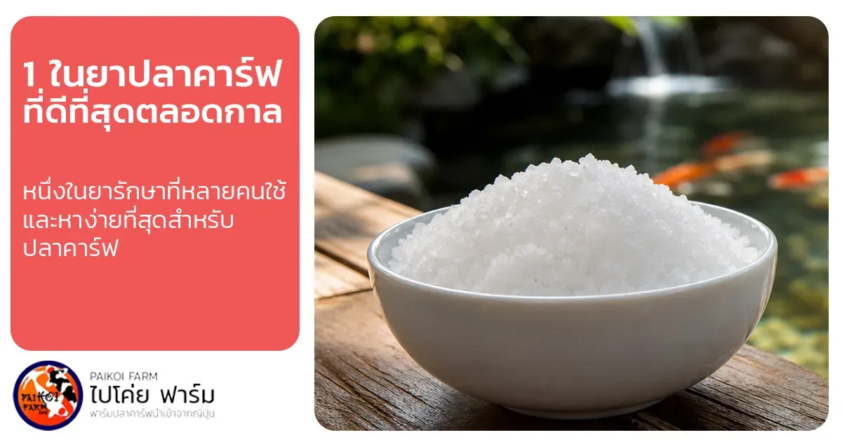 เกลือสำหรับปลาคาร์ฟ 1 ในตัวช่วยรักษาปลาที่ดีที่สุด